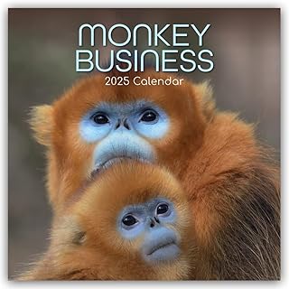Monkey Business 2025 Calendar