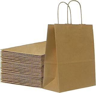 25 Pcs Kraft Paper Gift Bags with Handles