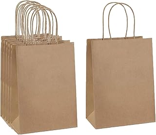 10-Pack Small Kraft Paper Gift Bags with Handles