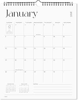 Cabbrix 18-Month Wall Calendar 2025-2026