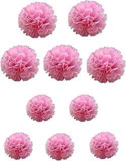 10pcs Tissue Paper Pom-poms Flower Ball Wedding Party Decoration
