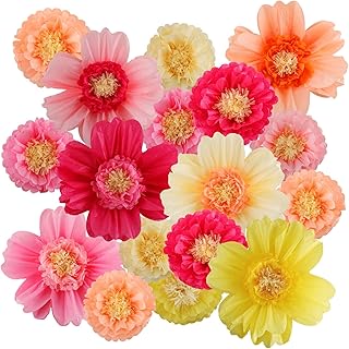 24 Pcs Large Colorful Tissue Paper Flowers