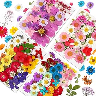 GEHARTY Dried Pressed Flowers, 140 Pcs Mult