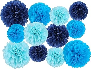 12 Pcs Tissue Pom Poms Kit
