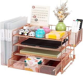 Soilsiu Desk Organizer with Drawer