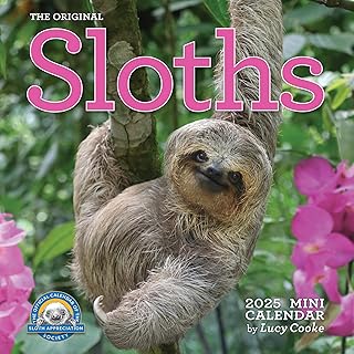 Sloths Mini Wall Calendar 2025