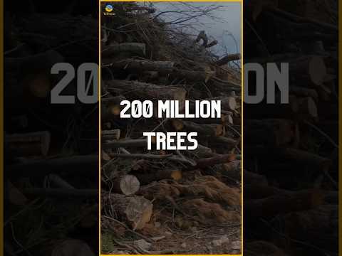 Recycled Paper Packaging Market to Reach $412.2 Billion by 2035