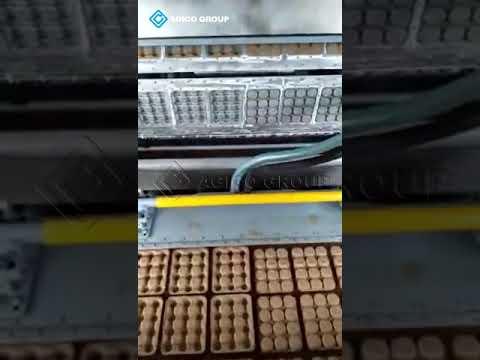 Balancing Paper Production: Trees, Recycling, and Sustainability Explained