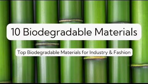 Companies Embrace Sustainable Materials, Shifting Away from Plastic